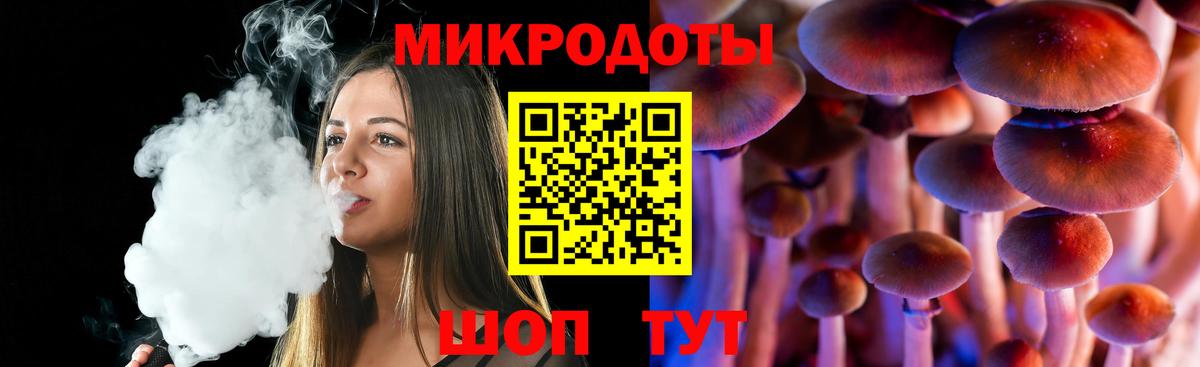 Псилоцибиновые грибы мицелий Прокопьевск